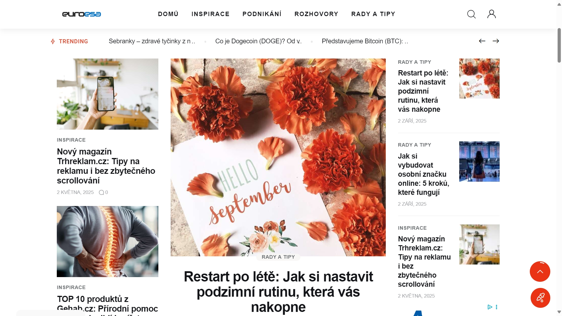 Ukázka webové stránky